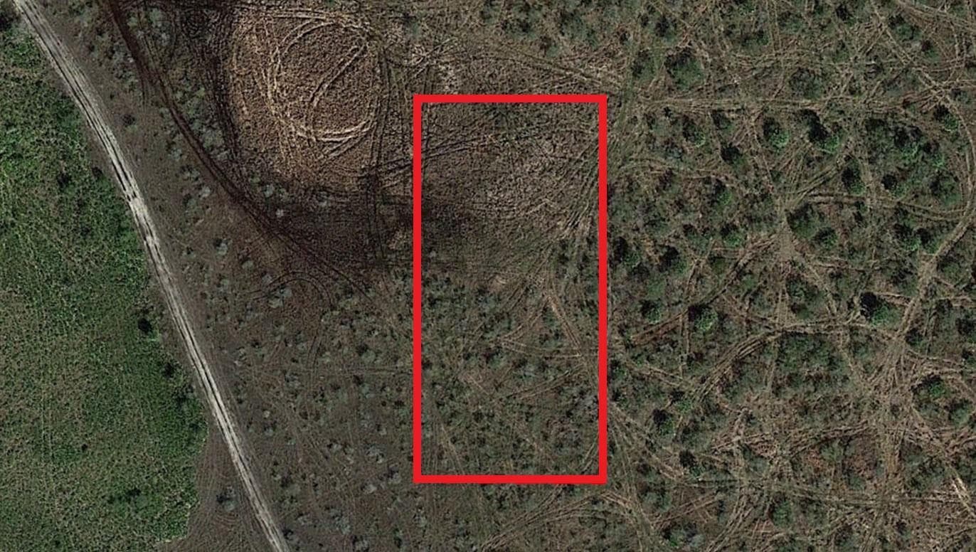 0 NW 310th Street, Okeechobee, FL 34972 photo 2