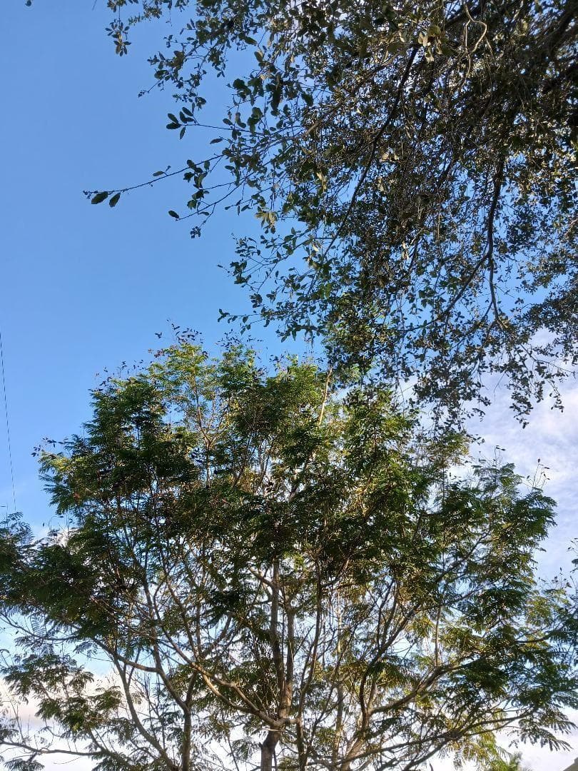 0000 139 Court, FL 34432 photo 3