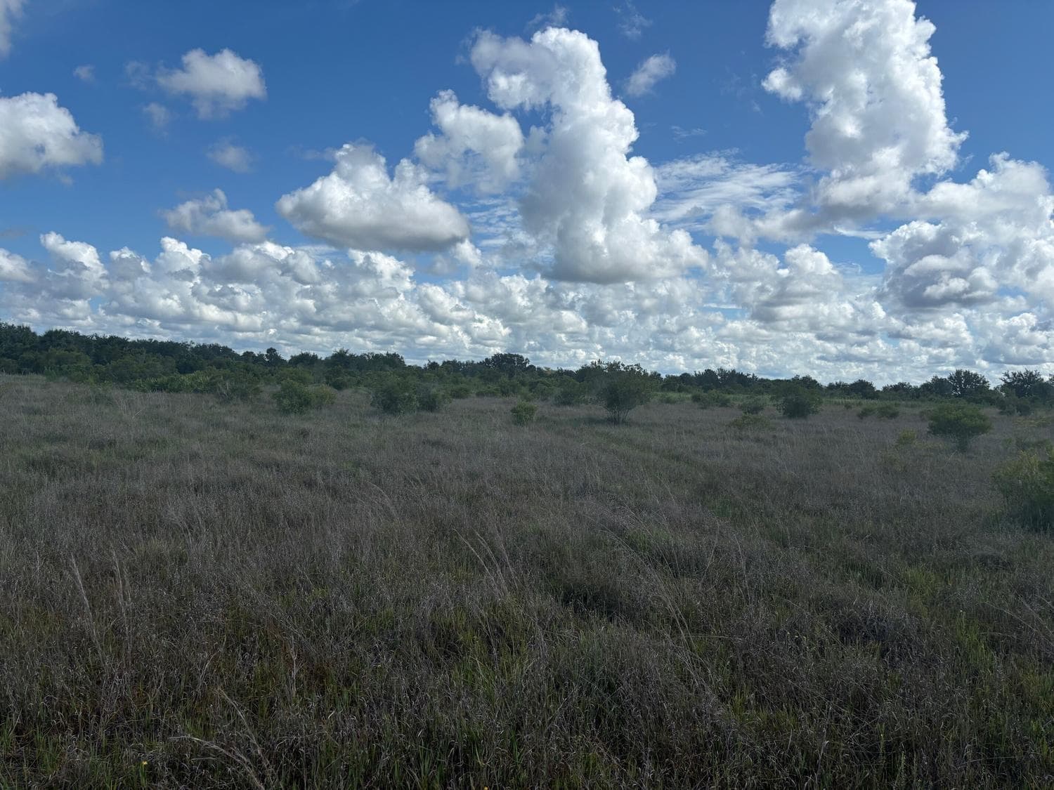 0 290th Street, Okeechobee, FL 34972 photo 2