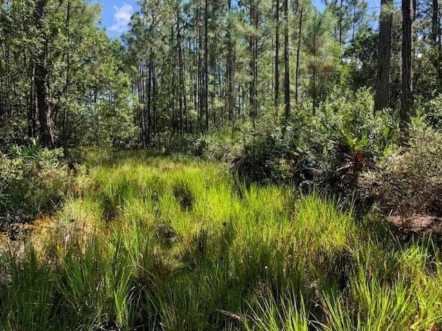 0 Old Grade Road, FL 33868 photo 3