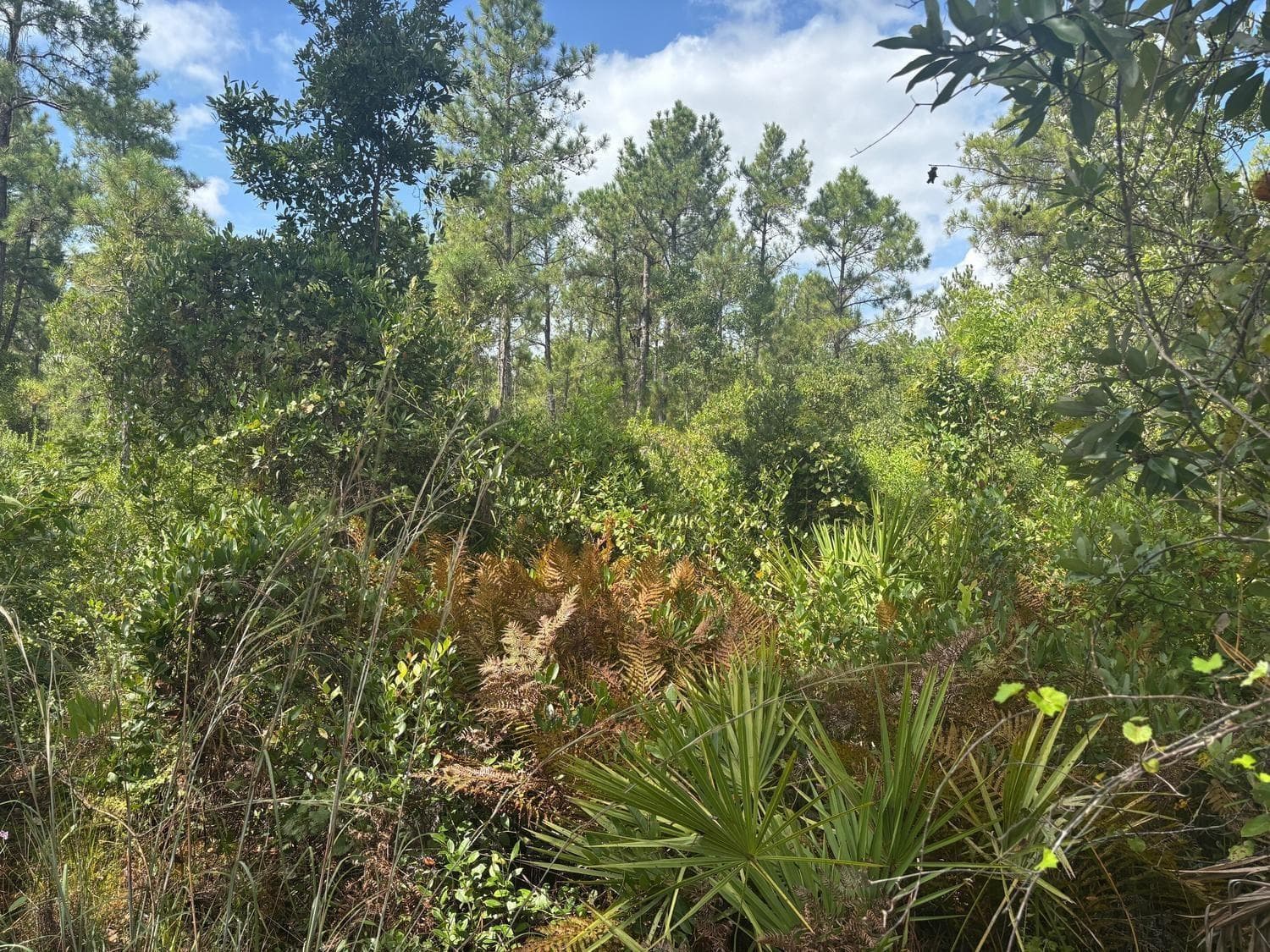 0 Hwy 630e, Frostproof, FL 33843 photo 2