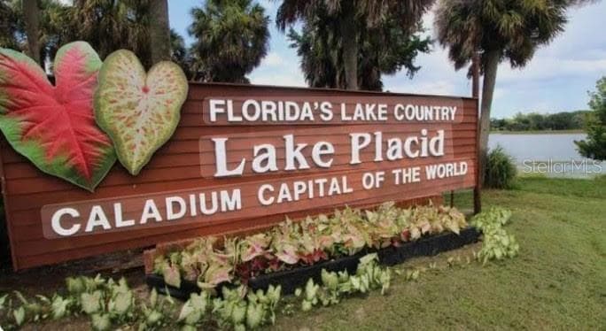 450 Kemper Avenue, Lake Placid, FL 33852 photo 4