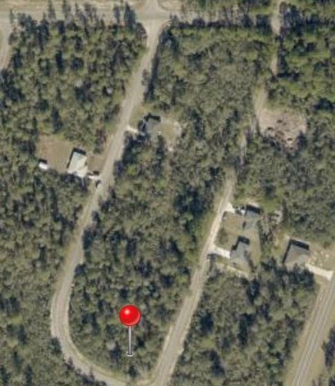 TBD FISHER WAY TRACK Tbd Fisher Way Track Fisher Way, FL 32179 photo 2