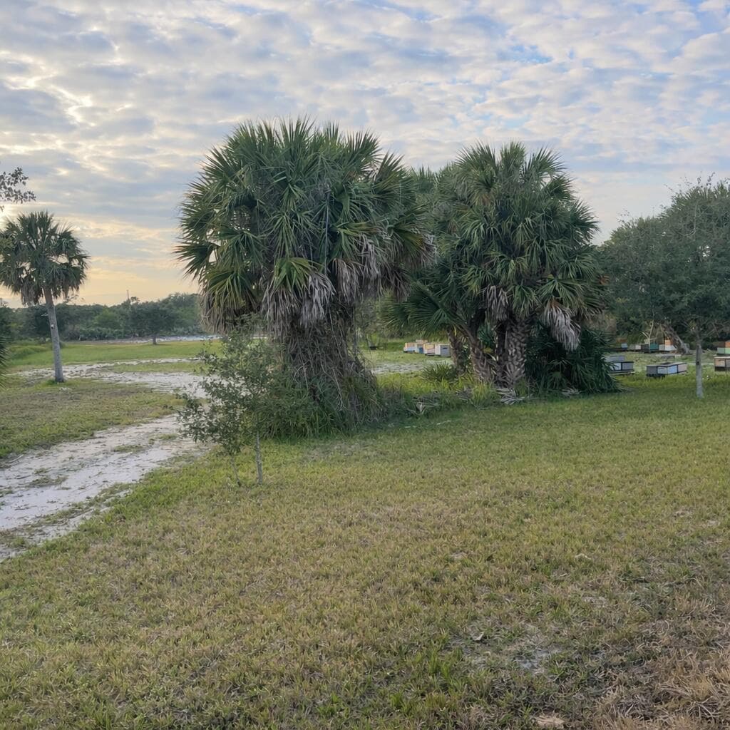 6440 Highway 1, Grant Valkaria, FL 32949 photo 2