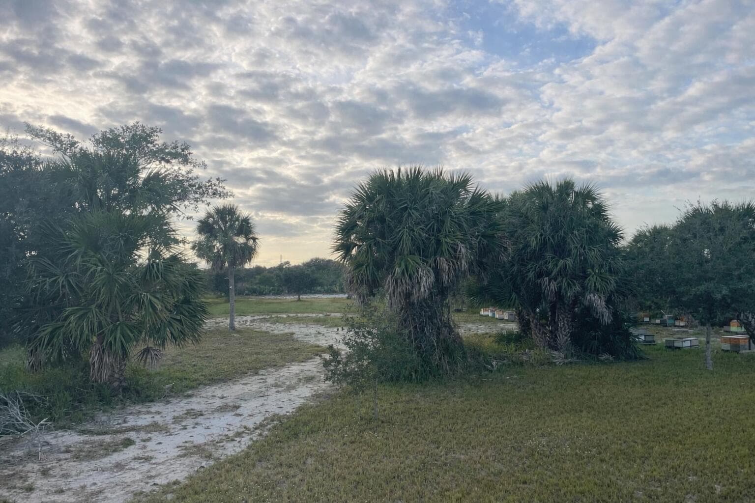 6440 Highway 1, Grant Valkaria, FL 32949 photo 3