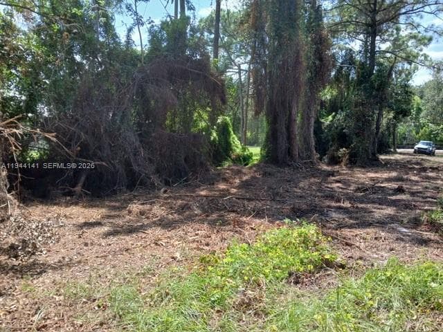 0000 BOBCAT RUN, Port St. Lucie, FL 34952 photo 3