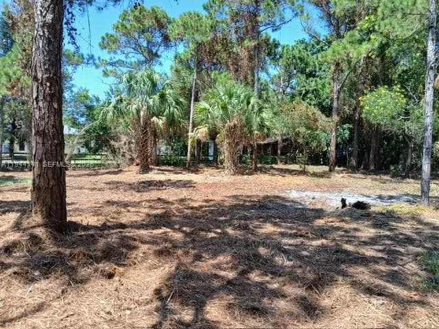 0000 BOBCAT RUN, Port St. Lucie, FL 34952 photo 5