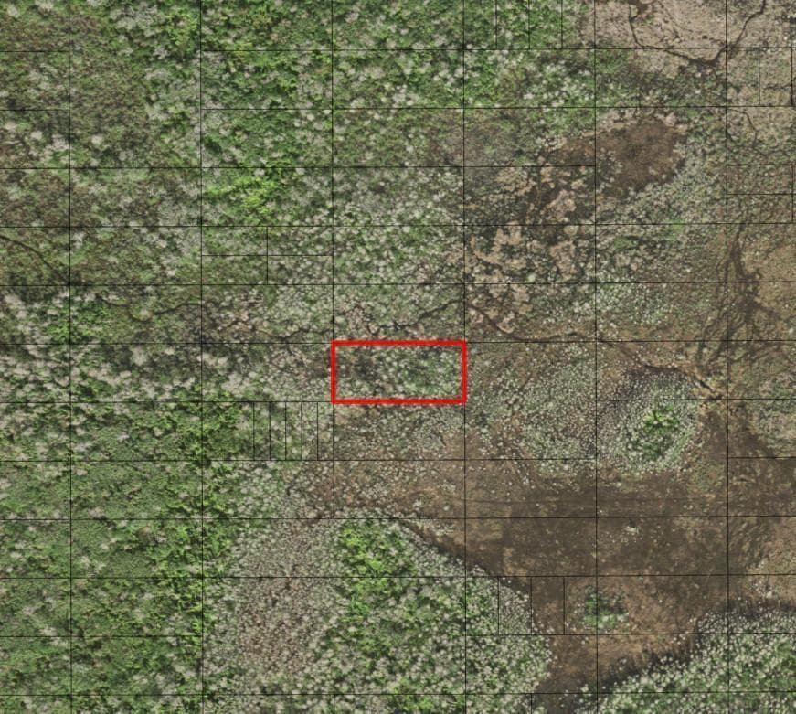 0 Holopaw Groves Road, FL 34772 photo 2
