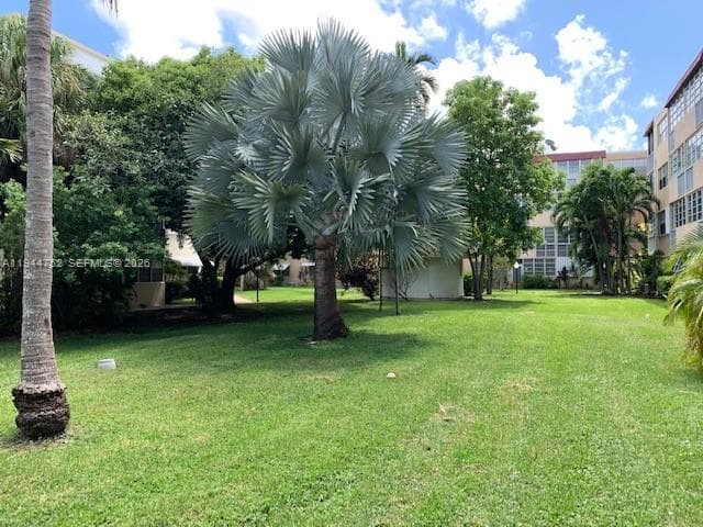 1333 E Hallandale Beach Blvd # 131, Hallandale Beach, FL 33009 photo 3