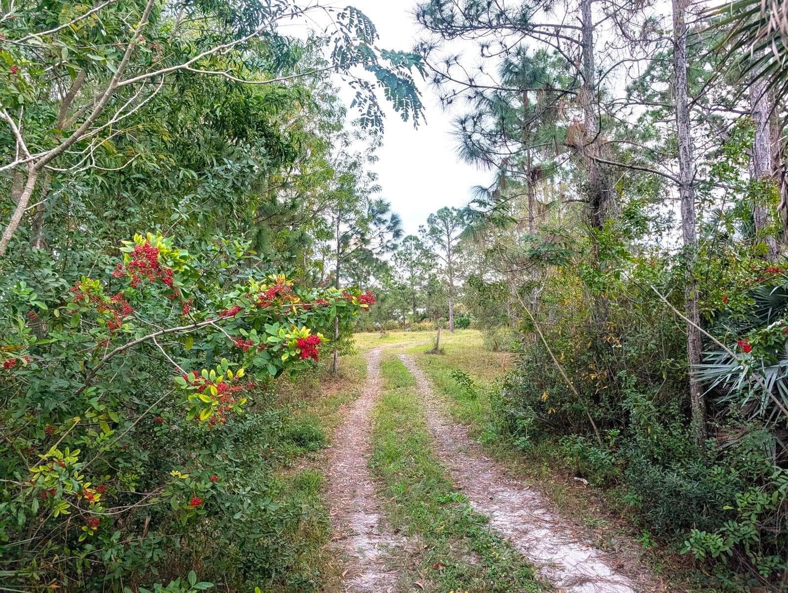 8590 130th Avenue, Fellsmere, FL 32948