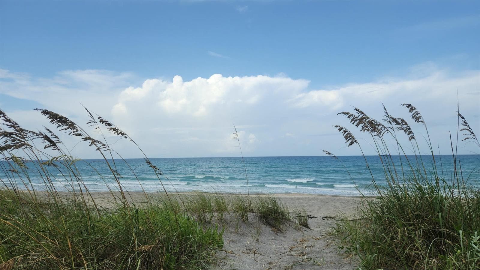 115 Olympus Way, Jupiter, FL 33477 photo 3