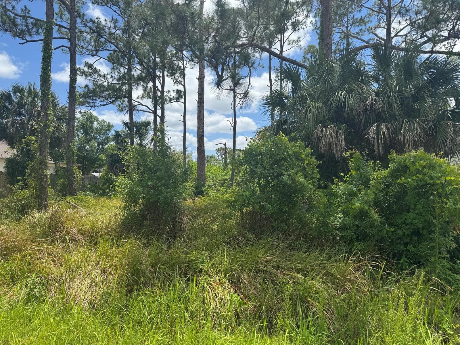 1458 Transcoro Street SE, Palm Bay, FL 32909 photo 3