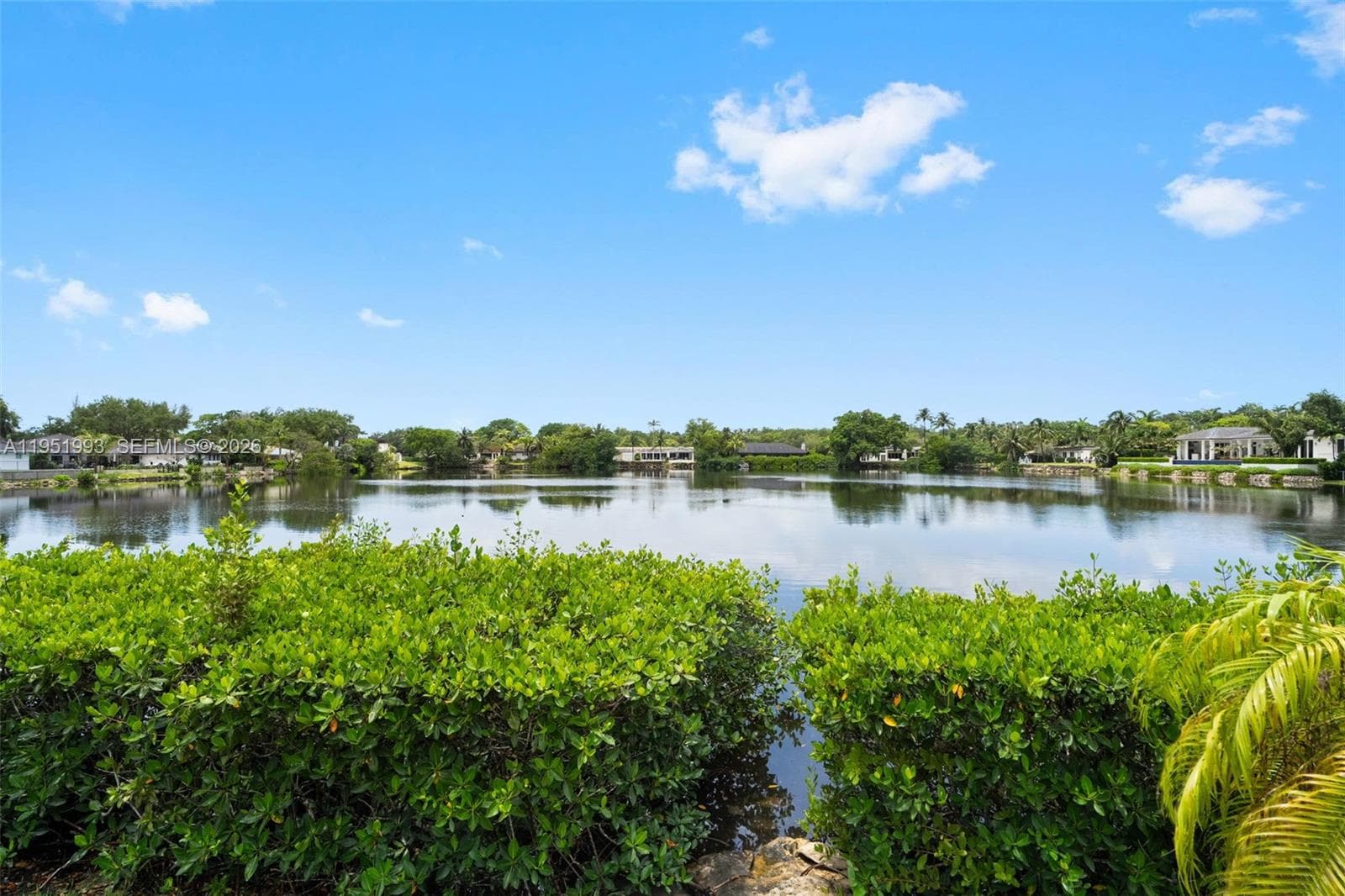 415 Rovino Ave, Coral Gables, FL 33156 photo 5