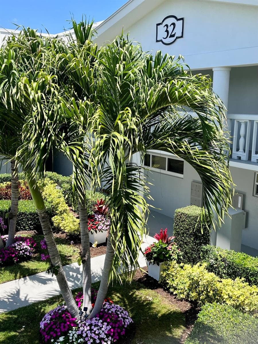 32 Colonial Club Drive # 203, Boynton Beach, FL 33435 photo 5