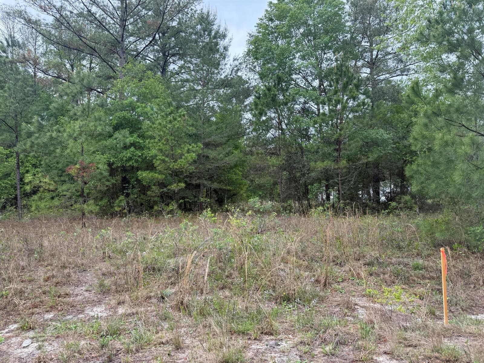 Tbd Maltas Avenue, FL 32148