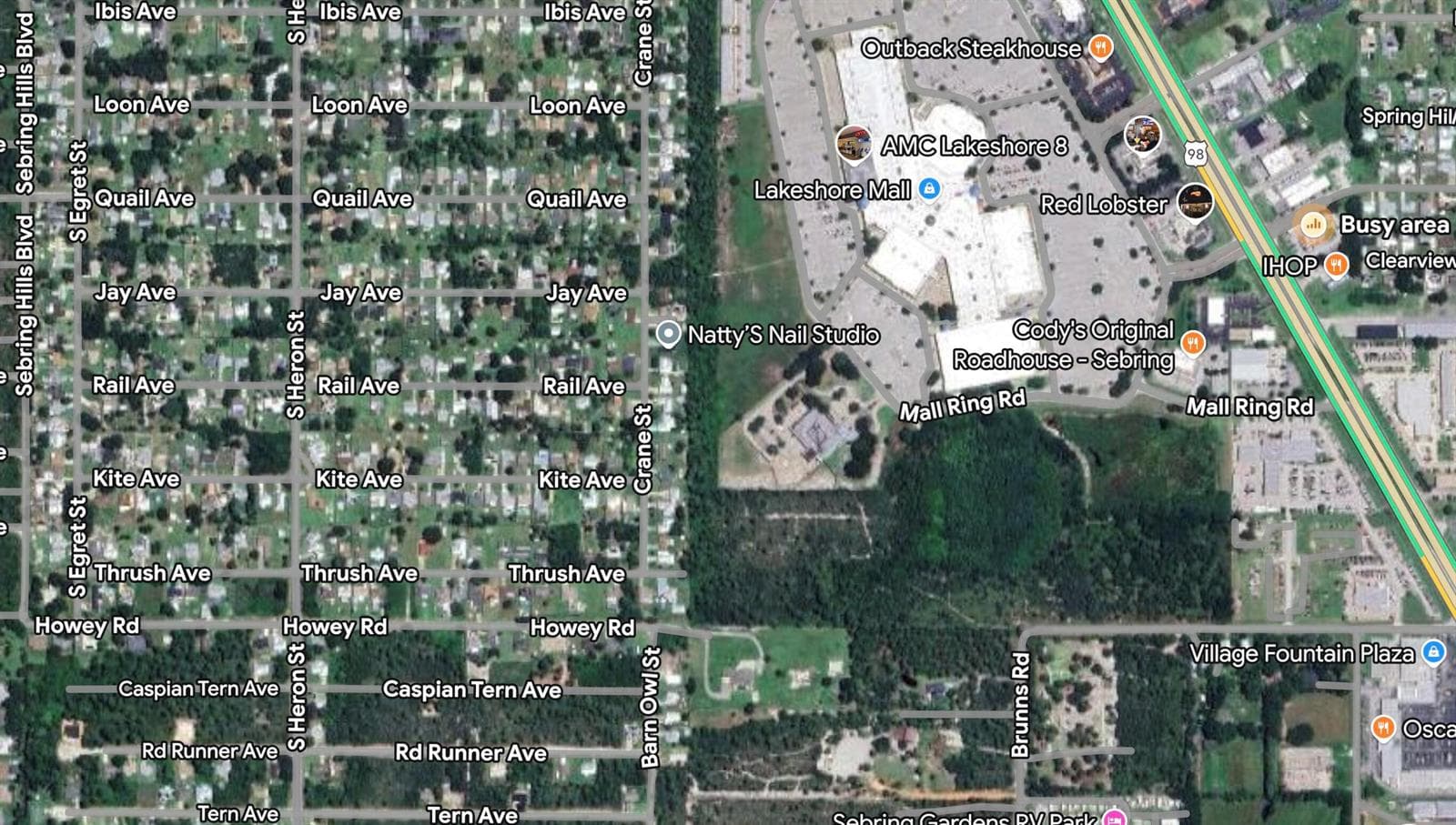 215 Roadrunner Avenue, Sebring, FL 33870 photo 2