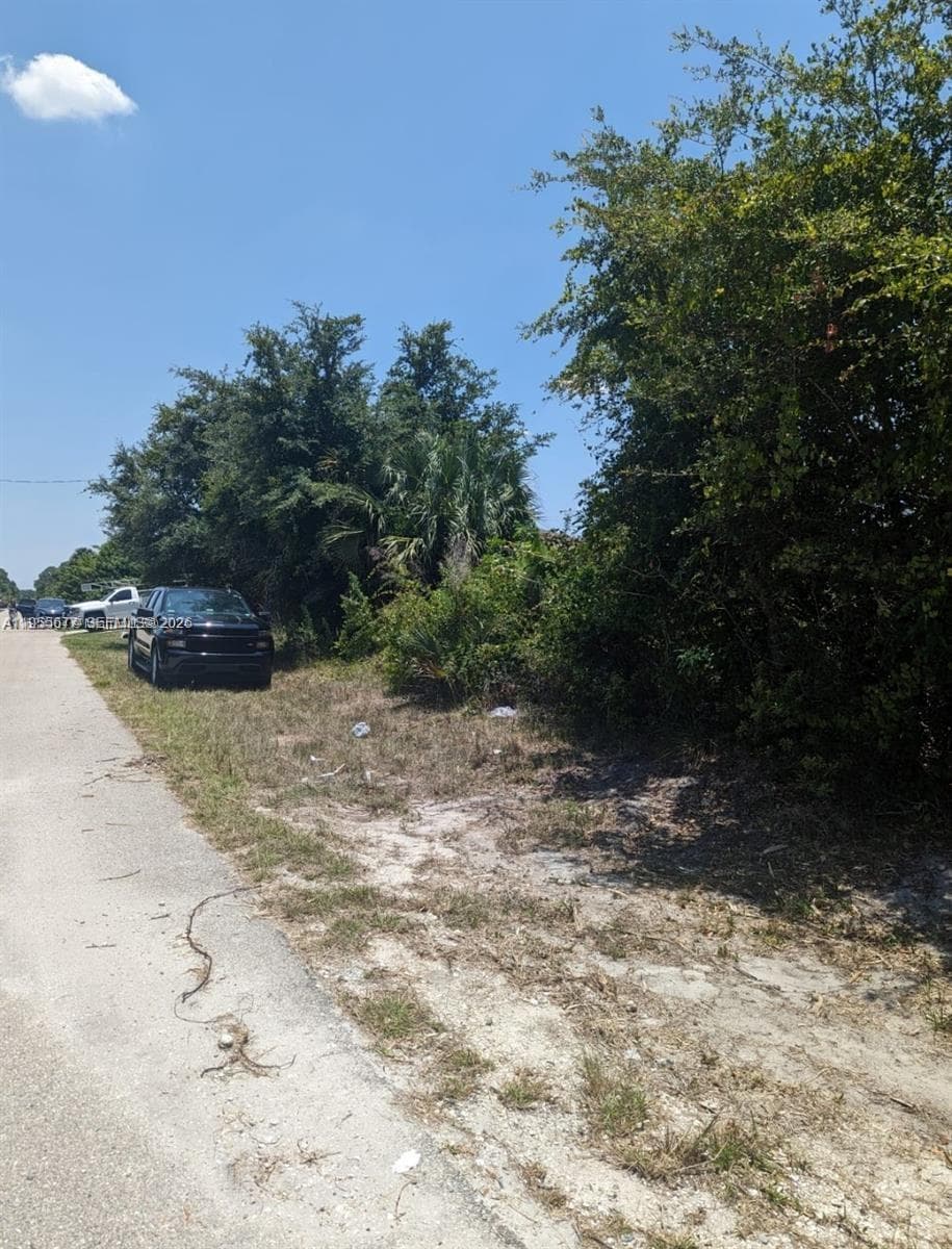 3215 52nd St W, Lehigh Acres, FL 33971 photo 5
