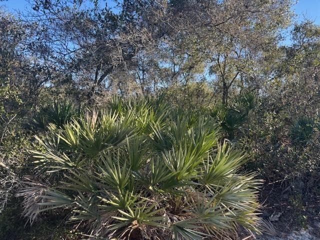 2280 93rd Court, Vero Beach, FL 32966 photo 3