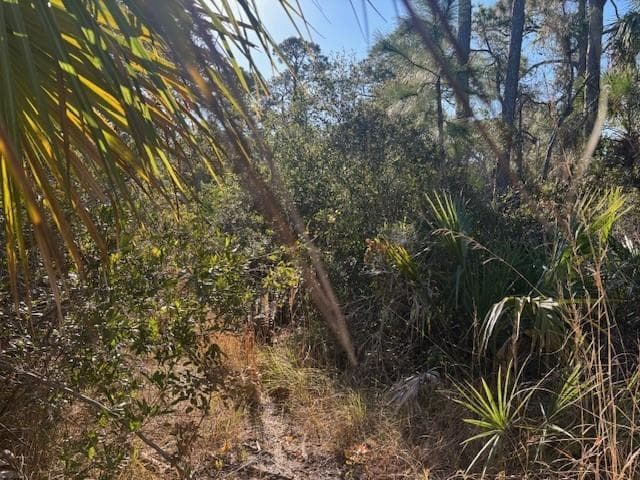42260 93rd Avenue, Vero Beach, FL 32966 photo 2