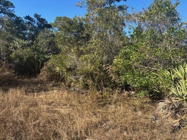 42260 93rd Avenue, Vero Beach, FL 32966 photo 3