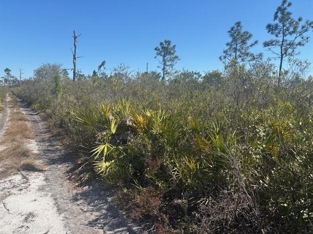 0 Hwy 630e, Frostproof, FL 33843 photo 3