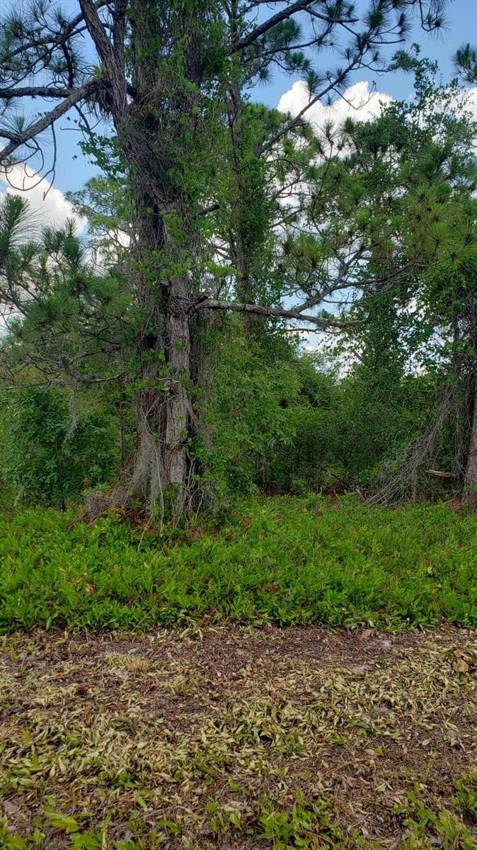 932 Island Parkway NE, Lake Placid, FL 33852 photo 3