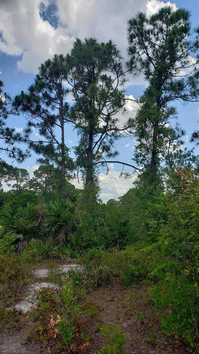 932 Island Parkway NE, Lake Placid, FL 33852 photo 4