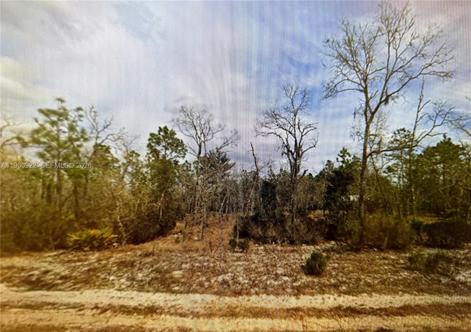 00 Hudson St, Palatka, FL 32148