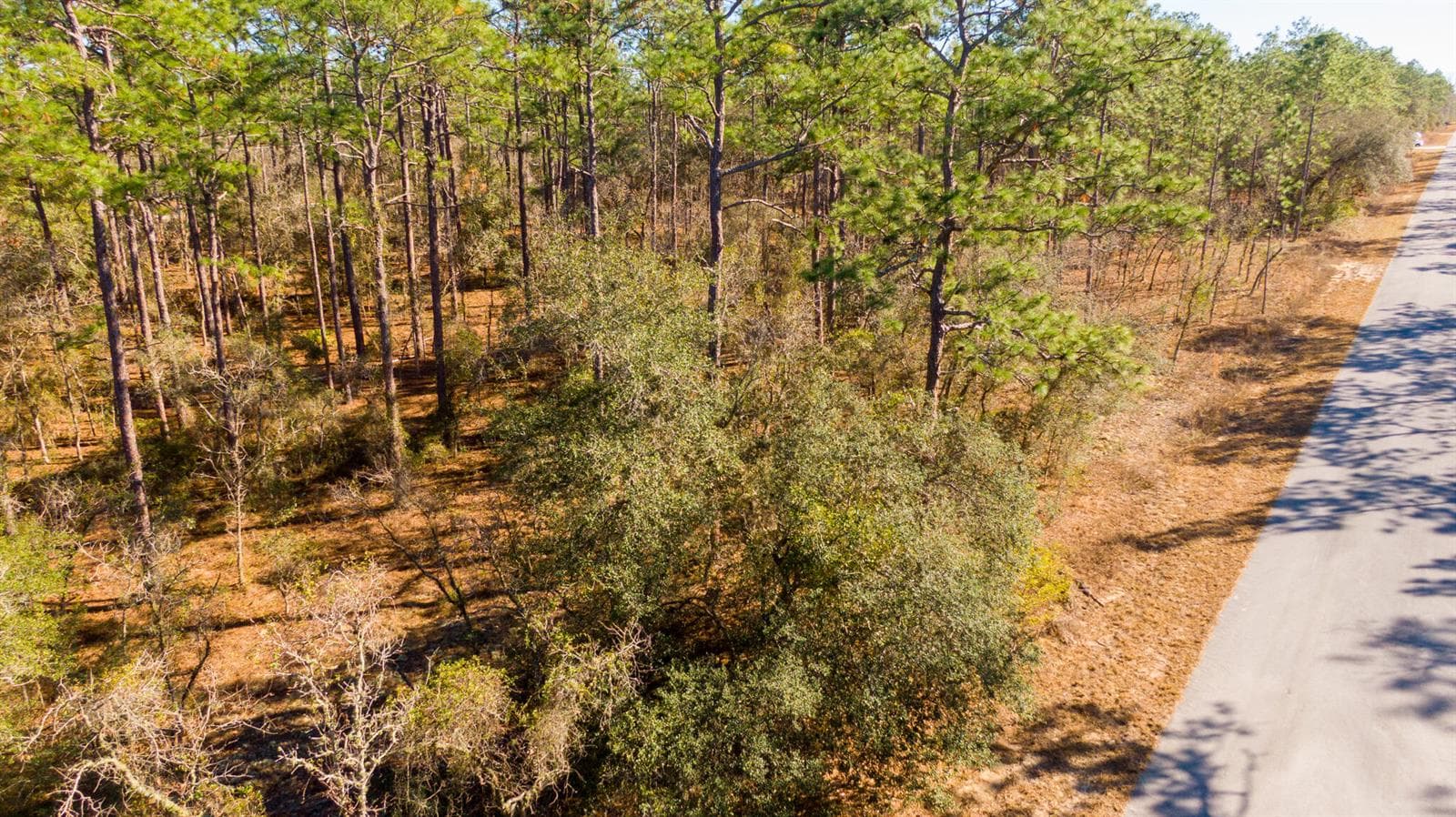 0000 SW Commodore Road, FL 34431