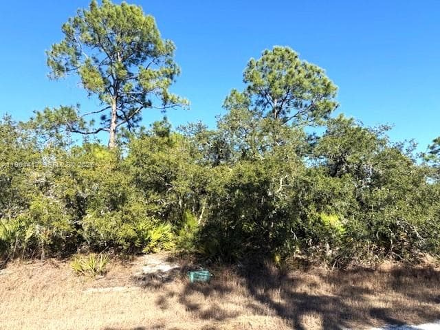 3221 N Dahlia, Lake Placid, FL 33852 photo 2