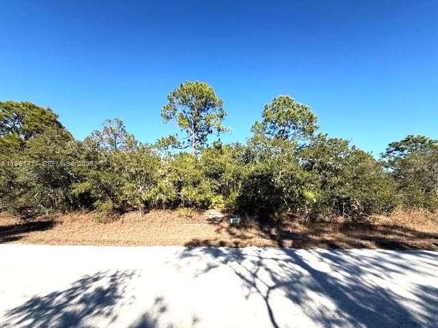 3221 N Dahlia, Lake Placid, FL 33852 photo 3