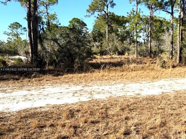 547 Branchwood Ave, Lake Placid, FL 33852 photo 2