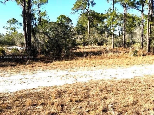 547 Branchwood Ave, Lake Placid, FL 33852 photo 3