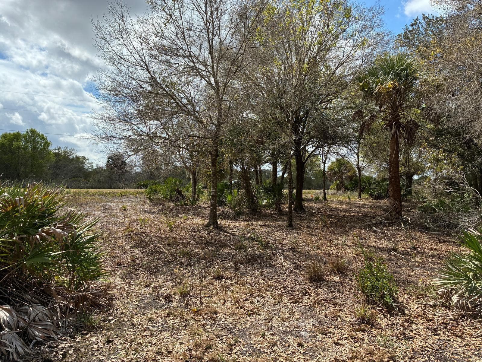19731 NW 266th Street, Okeechobee, FL 34972 photo 5
