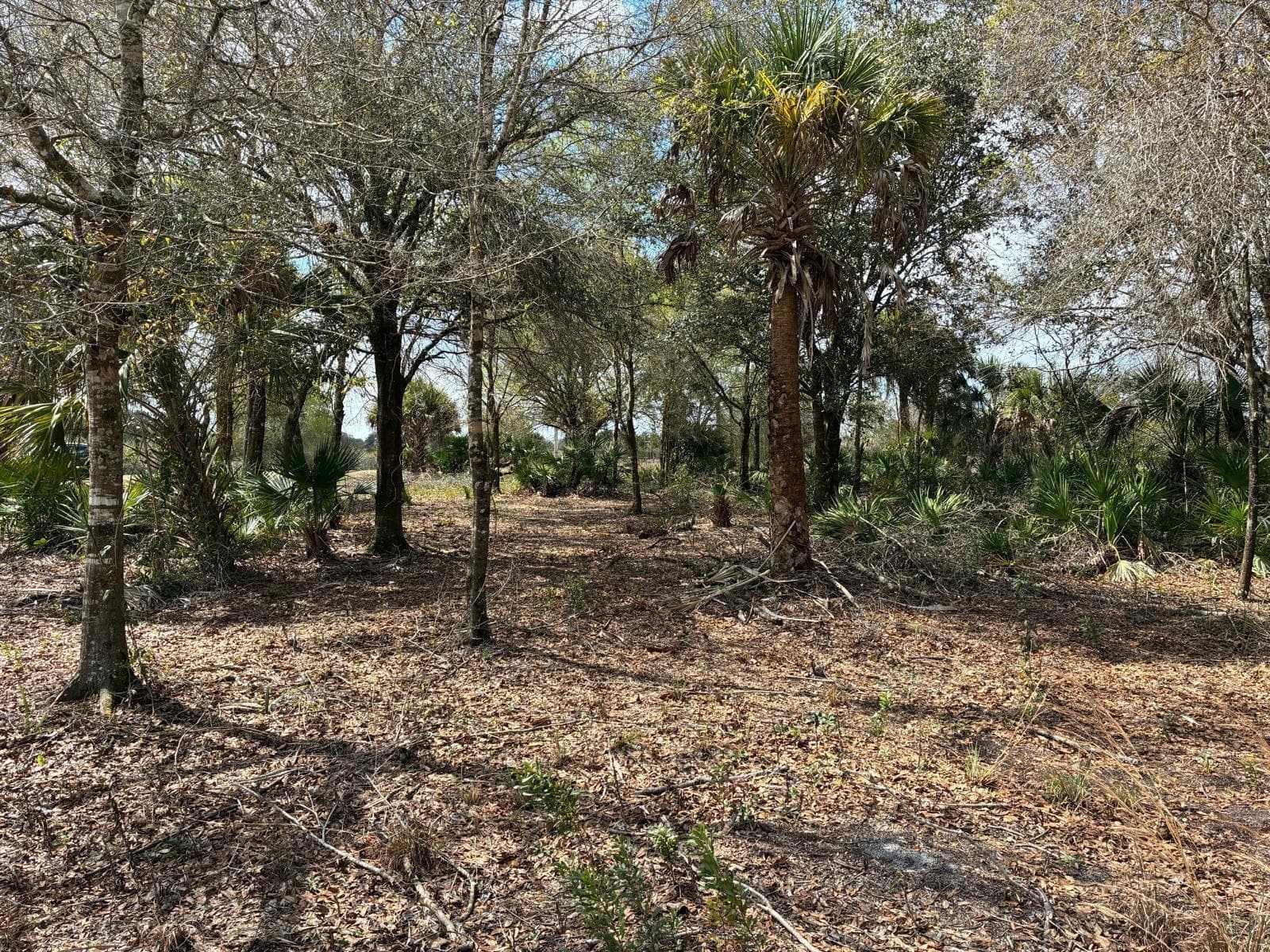 19731 NW 266th Street, Okeechobee, FL 34972 photo 4