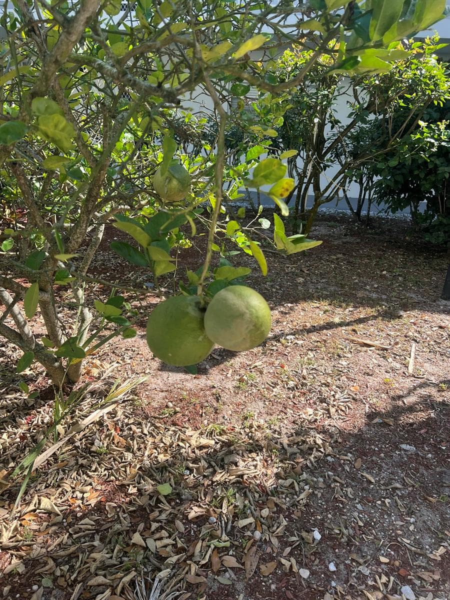 2302 Sunrise Boulevard # 3-201, Fort Pierce, FL 34982 photo 2