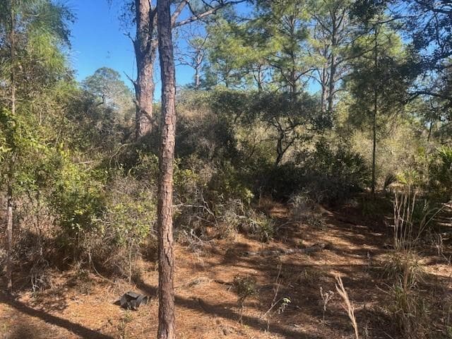 221 Rainbow Drive, Lake Placid, FL 33852 photo 2