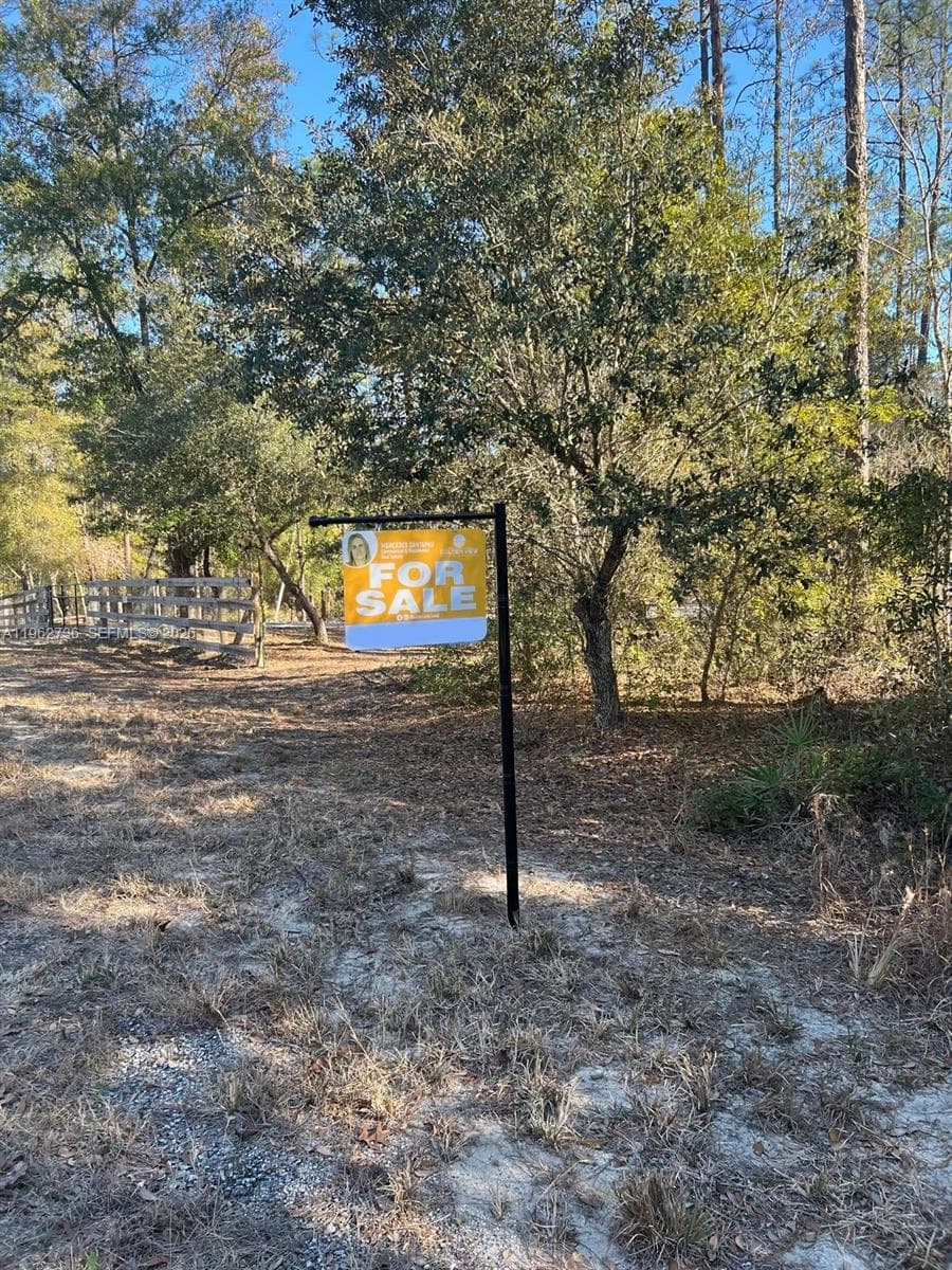 000 Dunnellon, Other City - In The State Of Florida, FL 34431 photo 3
