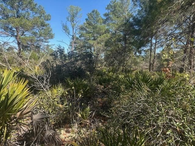 10681 Interlacher Drive, Sebring, FL 33852 photo 2