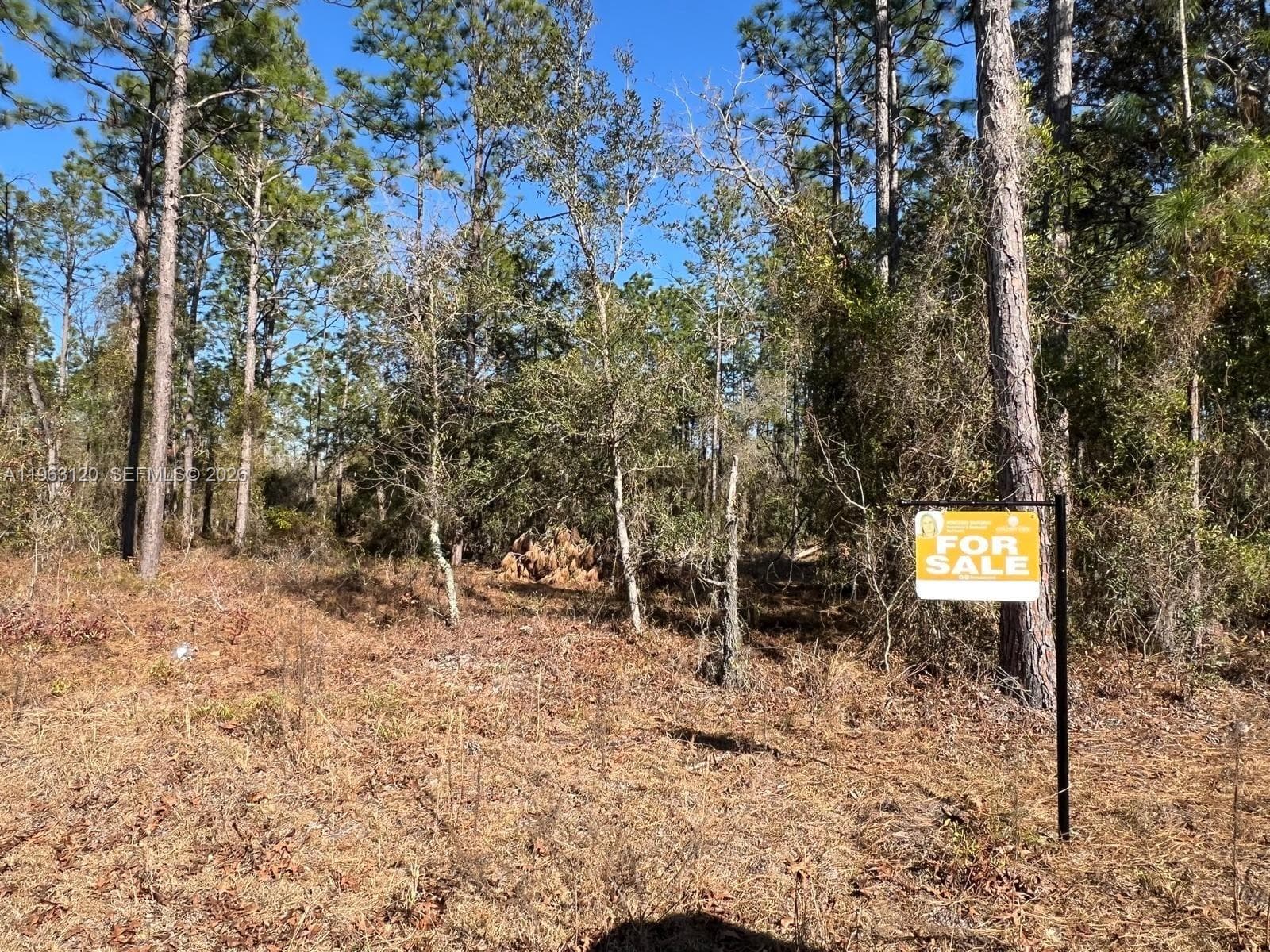000 Rainbow Lakes Estates, Other City - In The State Of Florida, FL 34431 photo 3