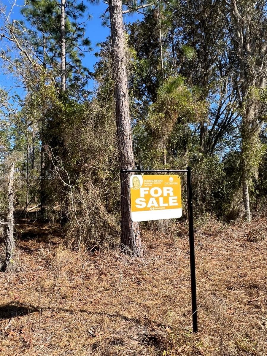 000 Rainbow Lakes Estates, Other City - In The State Of Florida, FL 34431 photo 5