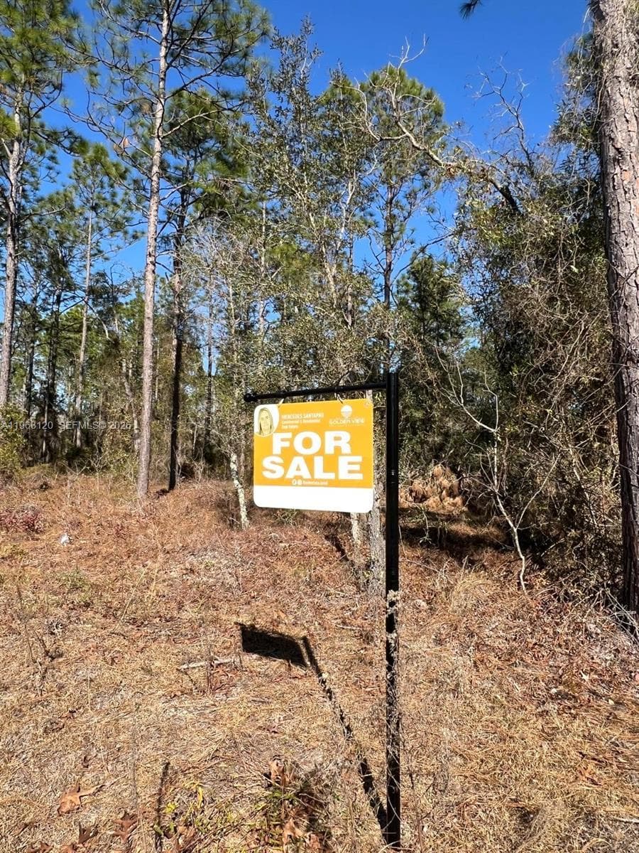 000 Rainbow Lakes Estates, Other City - In The State Of Florida, FL 34431 photo 4