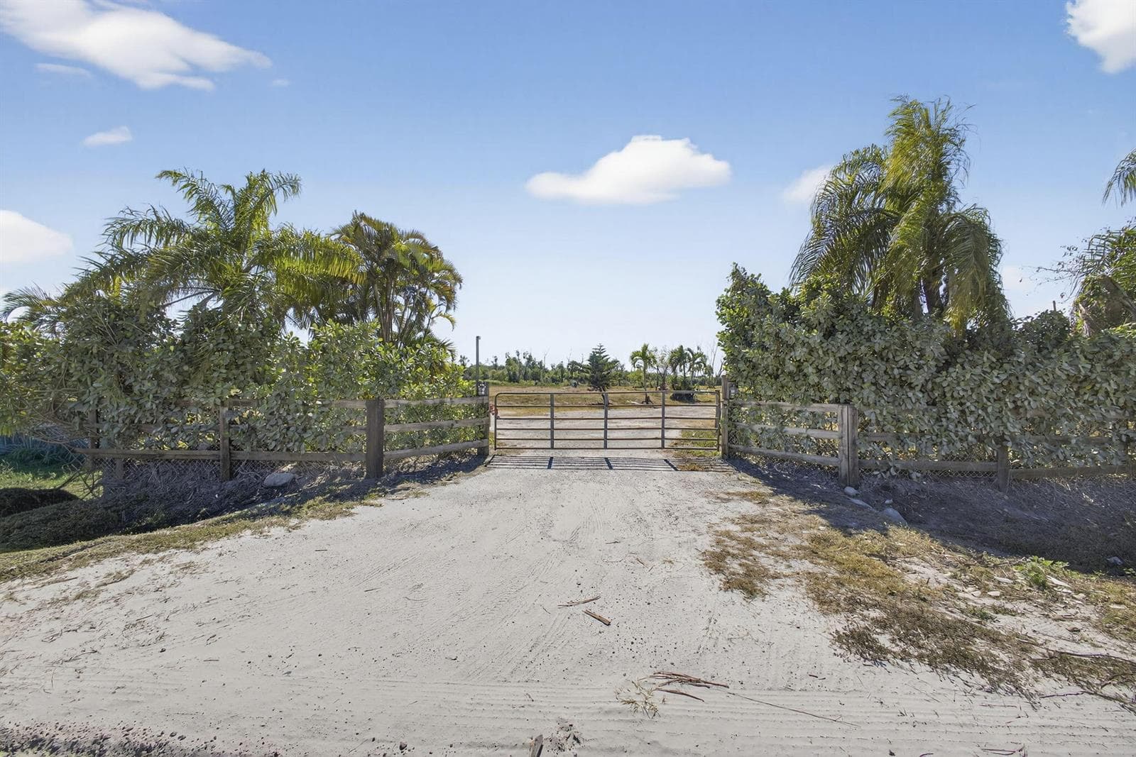 16296 Deer Path Lane, Wellington, FL 33470 photo 3