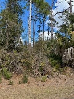 Xxx Eldron Avenue, North Port, FL 34286 photo 2