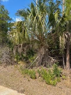 Xxx Eldron Avenue, North Port, FL 34286 photo 4