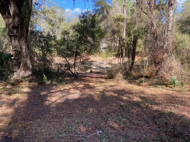 15137 NE 141st Street, FL 32134 photo 4