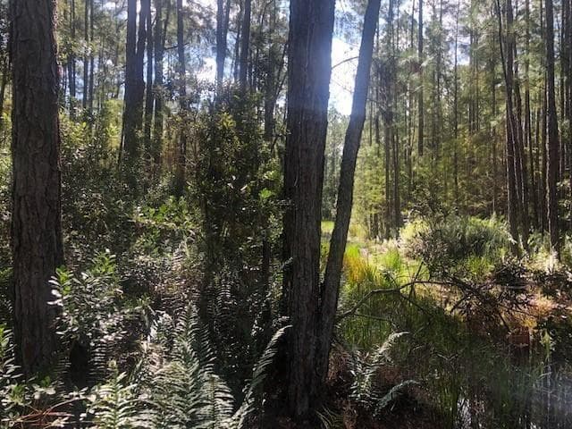 0 Old Grade Road, FL 33868 photo 2