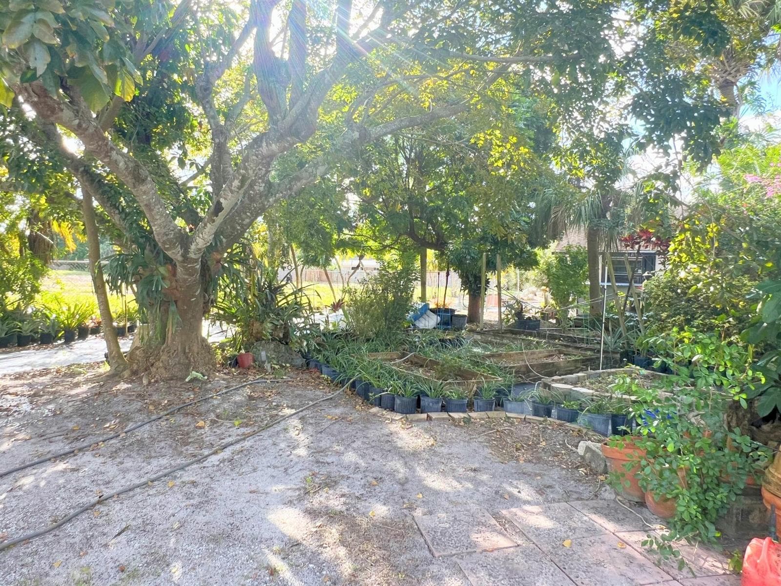 7300 NW 44th Terrace, Coconut Creek, FL 33073 photo 4