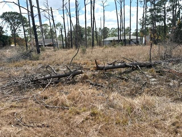 245 Moon River Avenue, Lake Placid, FL 33852 photo 2