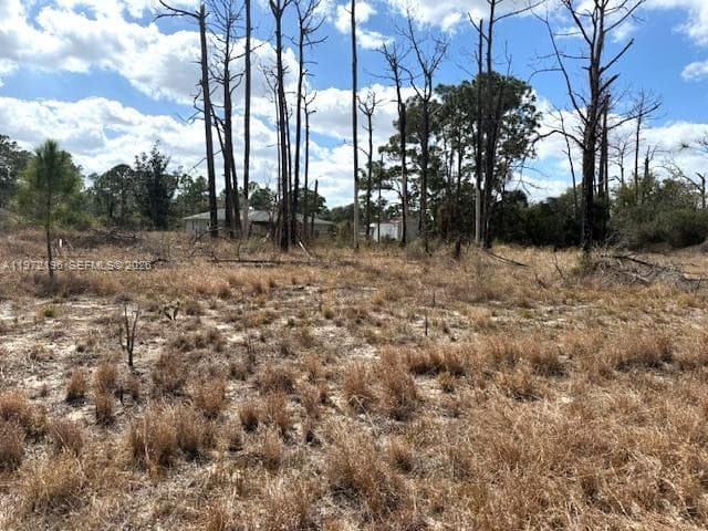 245 Moon River Avenue, Lake Placid, FL 33852 photo 3